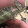 thereptileguy