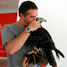 Falcoeiro