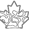 Canada Ant Colony