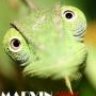 marvincham