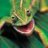 Reptile Dude