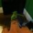 bmacd93