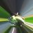 Hoofbeatz729