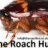 The Roach Hut