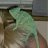 Johnnys1kitten
