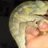alfiegeorge1
