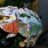 Birareptiles
