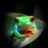 Frog Princess