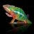 lizardlove