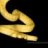 tylersreptiles13