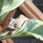 Catanncam