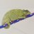 Chameleonlover0806