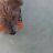 seatangle