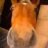 Titch