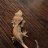 Let'sTalkLizard