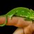 The chameleon girl