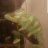 Cheech92