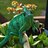 Pistachiochameleon