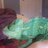 SuikaTheChameleon