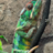 Chameleon-Corner