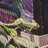 TheVeiledYoshi