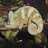 Pistachio_Disguisey1