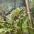 Lucas00-