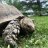mythreetorts