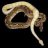 RichsBallPythons