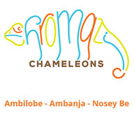 Chromatic Chameleons