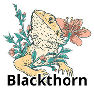 Blackthorn Dragons