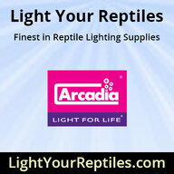 Light Your Reptiles