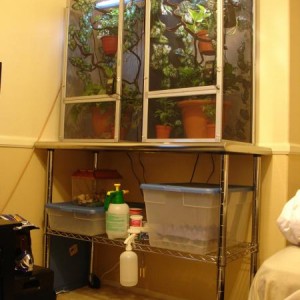 Photos