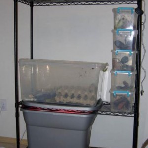 My setup