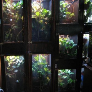 Our Habitats