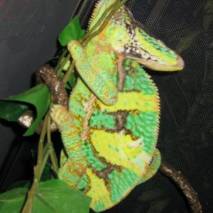 Random pics