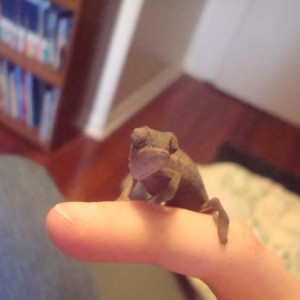 Baby Ness
