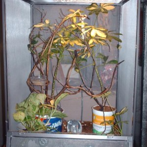 Enclosures