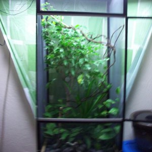 Cage construction