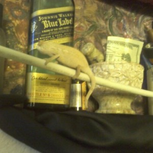SATIVA