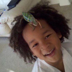 day after shed 3 april 11