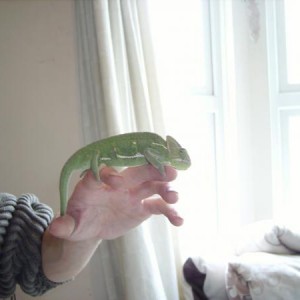 My nearly finished setup.