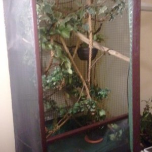 Cage Project in the works