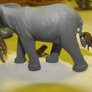 Pygmies