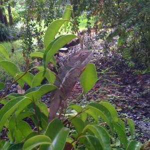 Waldo on 9/27/11