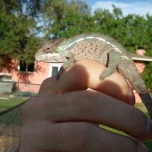 Waldo on 9/29/11