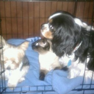The rest of the crew!