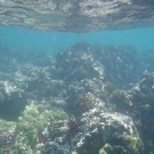 mikes album of the world....hope to see u there!