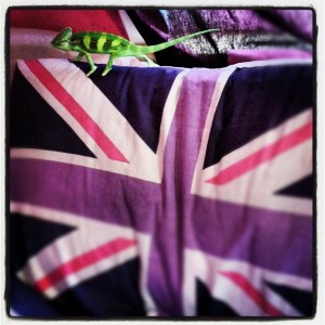 Rocco's Modern Life..