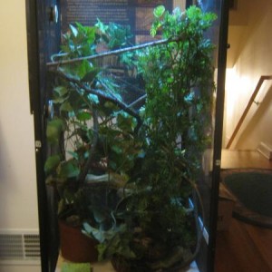 Rufus' Cage and Supplies